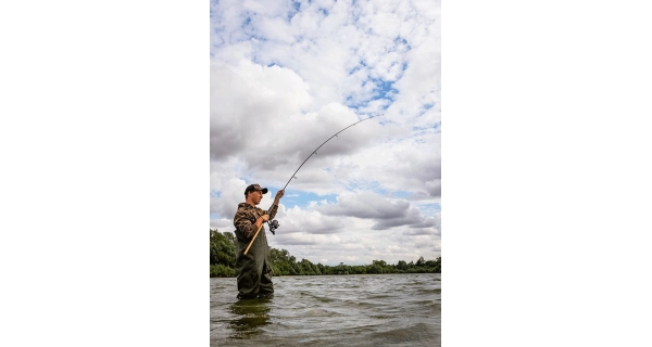 FOX - Prut Horizon X4 3,66 m 3 lb Cork