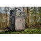 FOX RAGE - Batoh Pro Series Waterproof Rucksack
