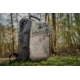 FOX RAGE - Batoh Pro Series Waterproof Rucksack