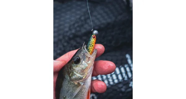 FOX RAGE - Gumová nástraha Mini Tiddler Mixed Colour Packs Loaded 7 cm 4 ks