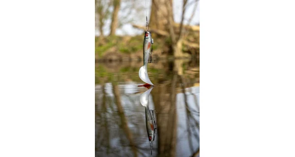 FOX RAGE - Gumová nástraha Pro Grub 16 cm Ultra Natural Roach