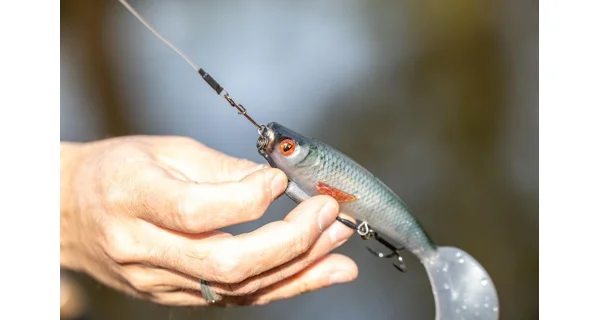 FOX RAGE - Gumová nástraha Pro Grub 16 cm Ultra Natural Roach