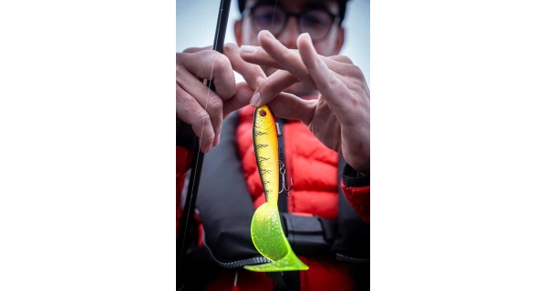 FOX RAGE - Gumová nástraha Pro Grub Loaded 12 cm Ultra Realistic Roach