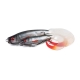 FOX RAGE - Gumová nástraha Pro Grub Loaded 16 cm Ultra Realistic Roach