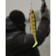 FOX RAGE - Gumová nástraha Pro Shad 10 cm UV Natural Perch