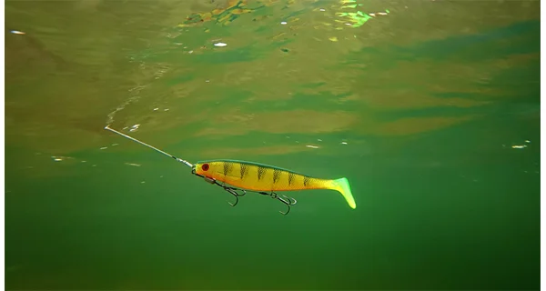 FOX RAGE - Gumová nástraha Pro Shad 18 cm UV Natural Perch