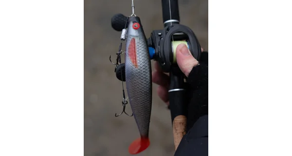 FOX RAGE - Gumová nástraha Pro Shad 18 cm UV Ultra Natural Roach