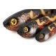 FOX RAGE - Gumová nástraha Slick Eel Burbot 21 cm