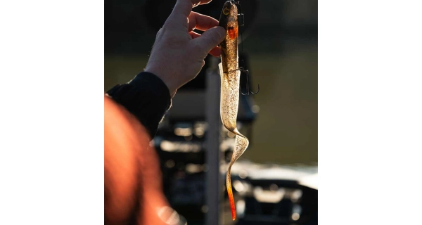 FOX RAGE - Gumová nástraha Slick Eel Loaded UV Perch vel. 3/0 35 cm