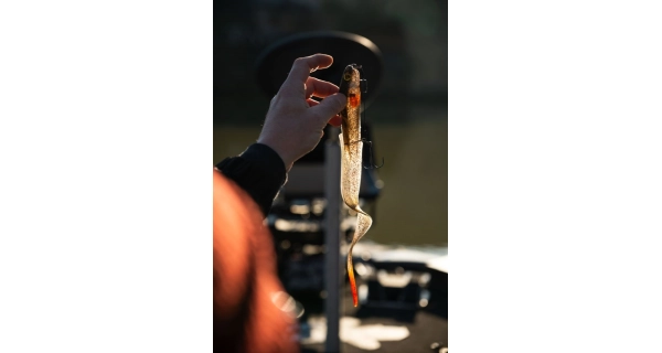 FOX RAGE - Gumová nástraha Slick Eel UV Perch vel. 1/0 28 cm