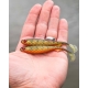 FOX RAGE - Gumová nástraha Slick Shad Pearl 9 cm