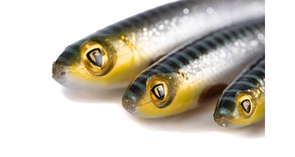 FOX RAGE - Gumová nástraha Slick Shad Silver Halo 13 cm