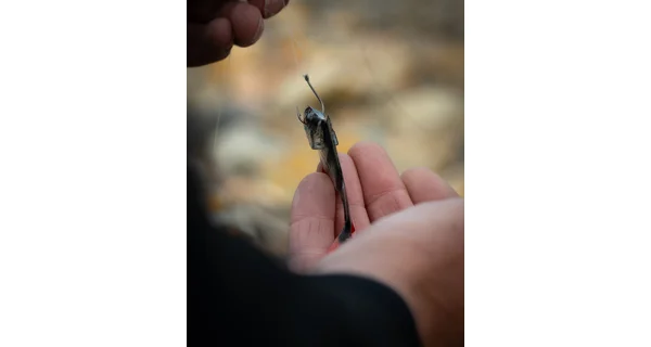 FOX RAGE - Gumová nástraha Ultra Fillet 8 cm 4 ks Natural Perch