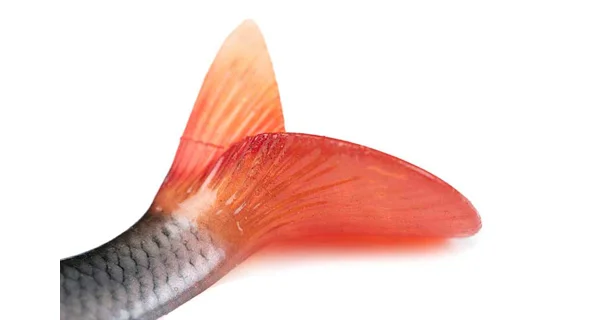 FOX RAGE - Gumová nástraha Ultra Natural Realistic Roach Replicant 23 cm