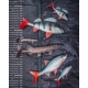 FOX RAGE - Gumová nástraha Ultra Realistic Perch Replicant 10 cm 22 g