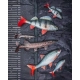 FOX RAGE - Gumová nástraha Ultra Realistic Pike Replicant 15 cm 30 g