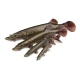 FOX RAGE - Gumová nástraha Ultra Realistic Pike Replicant 15 cm 30 g