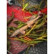FOX RAGE - Gumová nástraha Ultra Realistic Pike Replicant 15 cm 30 g