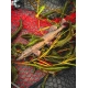 FOX RAGE - Gumová nástraha Ultra Realistic Pike Replicant 15 cm 30 g