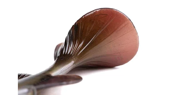 FOX RAGE - Gumová nástraha Ultra Realistic Pike Replicant 20 cm 80 g