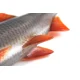 FOX RAGE - Gumová nástraha Ultra Realistic Replicant 14 cm Natural Roach