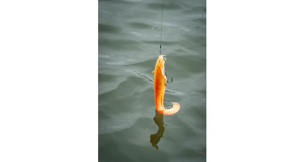 FOX RAGE - Gumová nástraha Ultra Realistic Replicant Catfish 10 cm 20 g Golden Wels