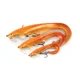FOX RAGE - Gumová nástraha Ultra Realistic Replicant Catfish 10 cm 20 g Golden Wels