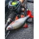 FOX RAGE - Gumová nástraha Ultra Realistic Roach Replicant 10 cm 18 g