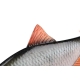 FOX RAGE - Gumová nástraha Ultra Realistic Roach Replicant 10 cm 18 g