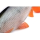 FOX RAGE - Gumová nástraha Ultra Realistic Roach Replicant 10 cm 18 g