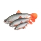 FOX RAGE - Gumová nástraha Ultra Realistic Roach Replicant 10 cm 18 g