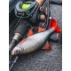 FOX RAGE - Gumová nástraha Ultra Realistic Roach Replicant 14 cm 45 g