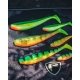 FOX RAGE - Gumová nástraha Zander Pro Shad Fire Tiger 10 cm