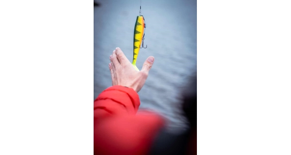 FOX RAGE - Gumová nástraha Zander Pro Shad Loaded UV Natural Perch 16 cm