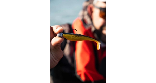 FOX RAGE - Gumová nástraha Zander Pro Shad UV Golden Shiner 14 cm