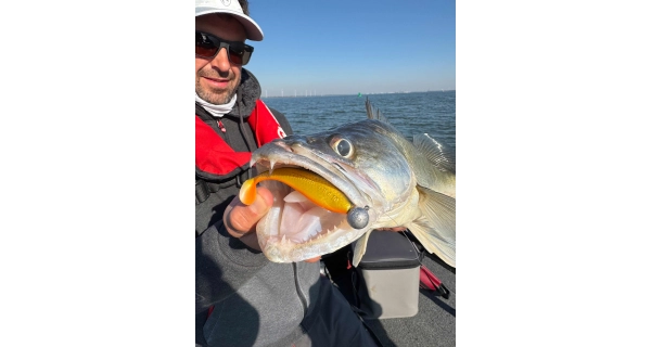 FOX RAGE - Gumová nástraha Zander Pro Shad UV Golden Shiner 14 cm