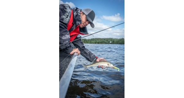FOX RAGE - Montáž Drop Shot Micro Ready Rig vel. 8 3 ks