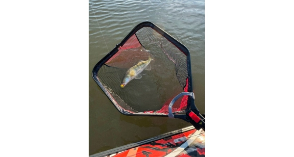 FOX RAGE - Podběrák Speed Flow Folding Net Medium