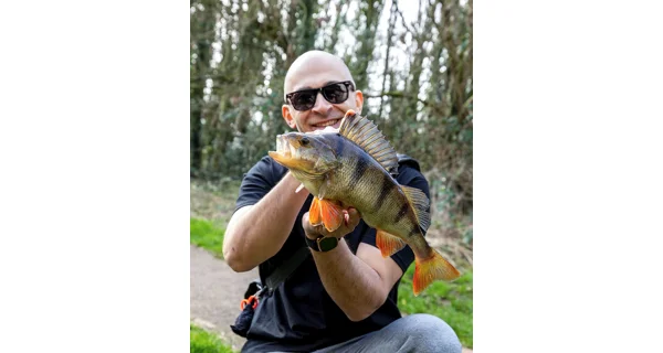 FOX RAGE - Polarizační Brýle Trans Camo Grey Lens Eyewear