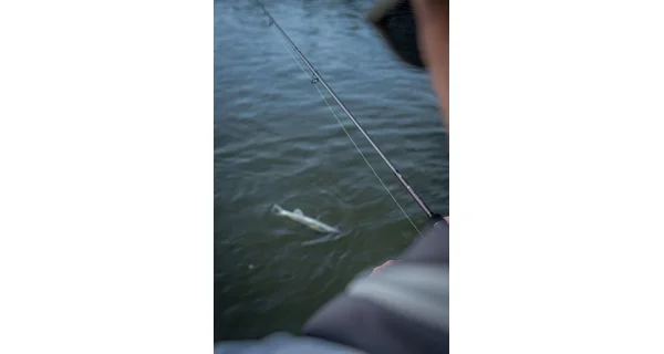 FOX RAGE - Prut Warrior Zander Jig 2,4 m 10-30 g 2 díly