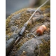 FOX - Závěsky Edges Tubing Leadclip Ready Rigs Camo vel. 7 3 ks