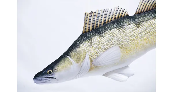 GABY PILLOWS - Polštář Candát Obecný 75 cm