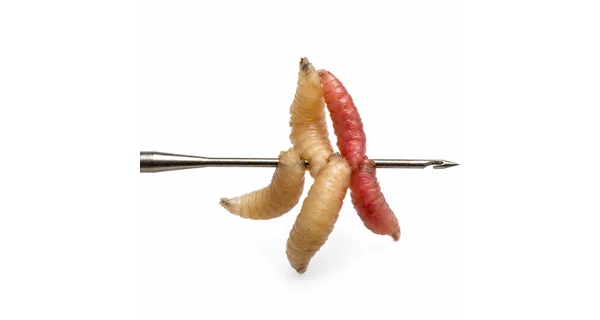 GIANTS FISHING - Jehla na červy Maggot Needle 0,74 mm