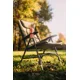 GIANTS FISHING - Křeslo Chair Deluxe FX + Transportní taška!