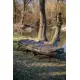 GIANTS FISHING - Lehátko + spací pytel Bedchair/Sleeping Bag System RWX 5 STD