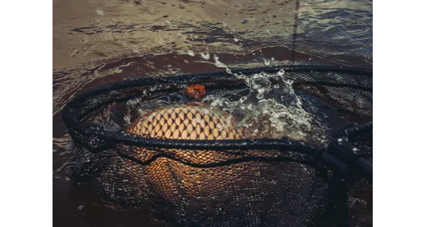 GIANTS FISHING - Podběrák Deluxe Landing Net Rubber X-Large 90x85 cm