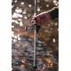 GIANTS FISHING - Prut Deluxe BX Carp 2,7 m 3 lb 2 díly