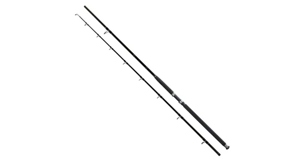 GIANTS FISHING - Prut Deluxe Catfish 2,7 m 500 g 2 díly
