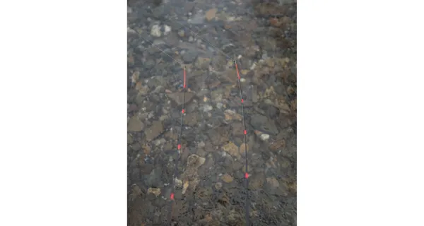 GIANTS FISHING - Prut Fluent MK2 Feeder 3,3 m 90 g 3 díly