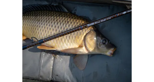 GIANTS FISHING - Prut Gaube Heavy Feeder 3,6 m 50-130 g 3 díly